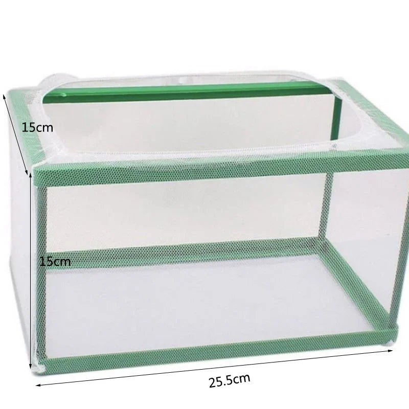 Clear acrylic fish breeding isolation box with green trim and suction cups