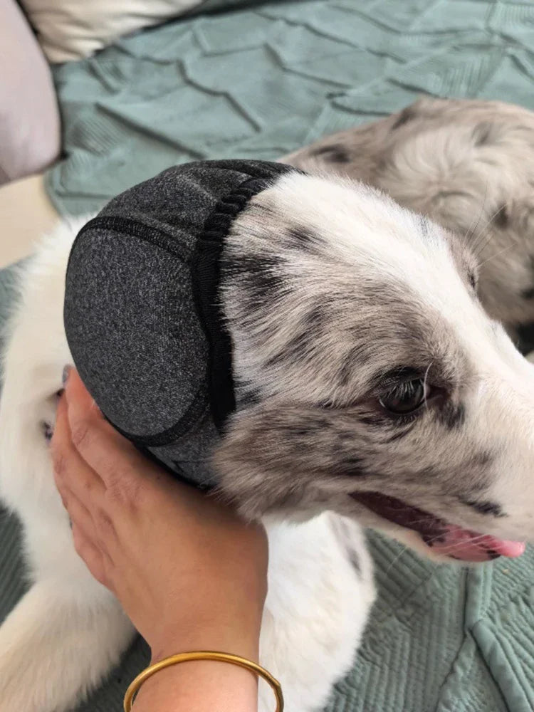 A person is holding a pet noise reduction ear muff for a dog on a green blanket.