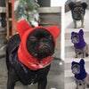 A black pug wearing a bright red fleece dog winter hat outdoors.
