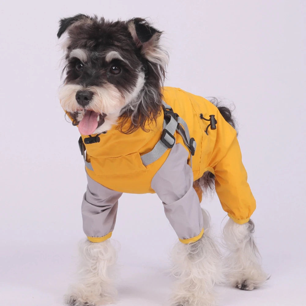 Un perro pequeño vistiendo un impermeable amarillo de doble capa y arnés para mascotas.