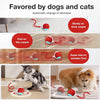Interaktiver elektrischer Spielball für Haustiere, gespielt von Katzen und Hunden auf verschiedenen Oberflächen.