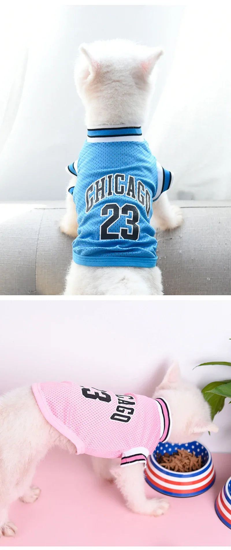 Ein weißer Hund trägt eine blaue Chicago-Trikotweste mit der Nummer 23 und sitzt neben einer patriotischen Schüssel.