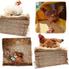 A brown hen is shown in a wooden coop with straw bedding and eggs resting on coconut coir nesting material.