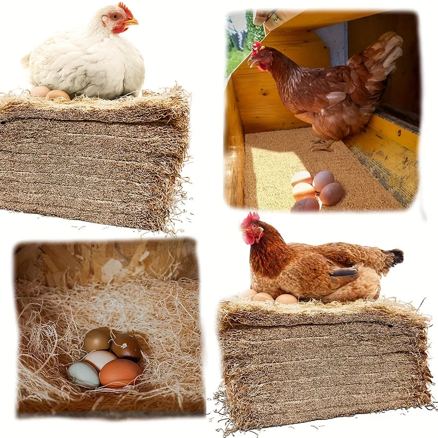 A brown hen is shown in a wooden coop with straw bedding and eggs resting on coconut coir nesting material.