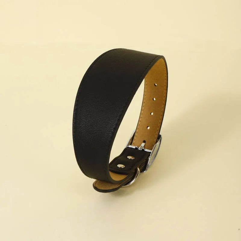 A black leather dog collar with a tan leather strap and silver buckle.