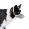 A black and white dog wearing a gray comfort mesh muzzle with adjustable straps.