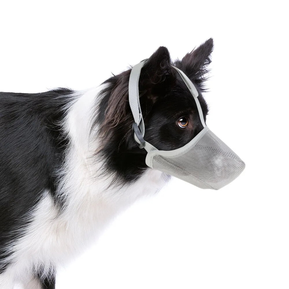 A black and white dog wearing a gray comfort mesh muzzle with adjustable straps.