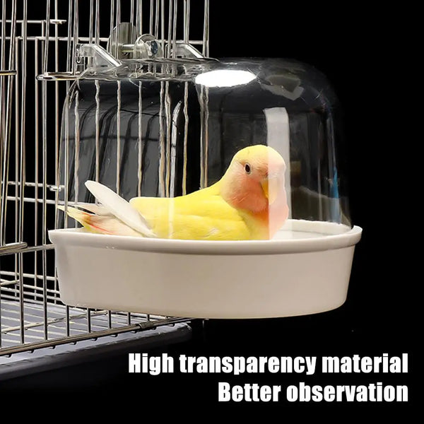 A clear plastic hanging bird bath with a wire cage structure for parakeets.