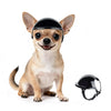 A small fawn-colored dog wearing a black pet safety helmet and goggles.