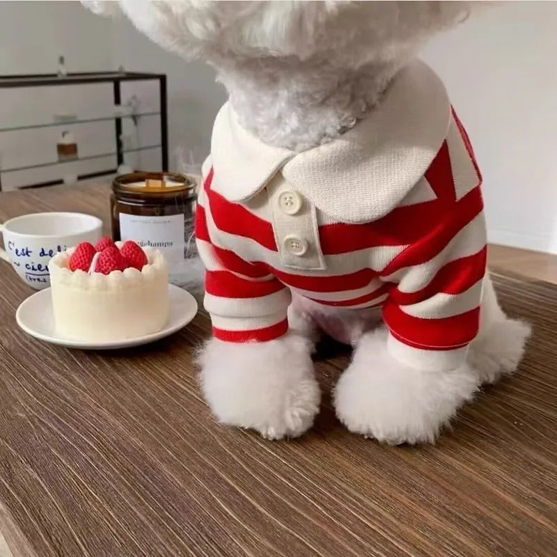 A fluffy white dog wearing a red and white striped hoodie with a cream collar sitting next to a cake and a jar.