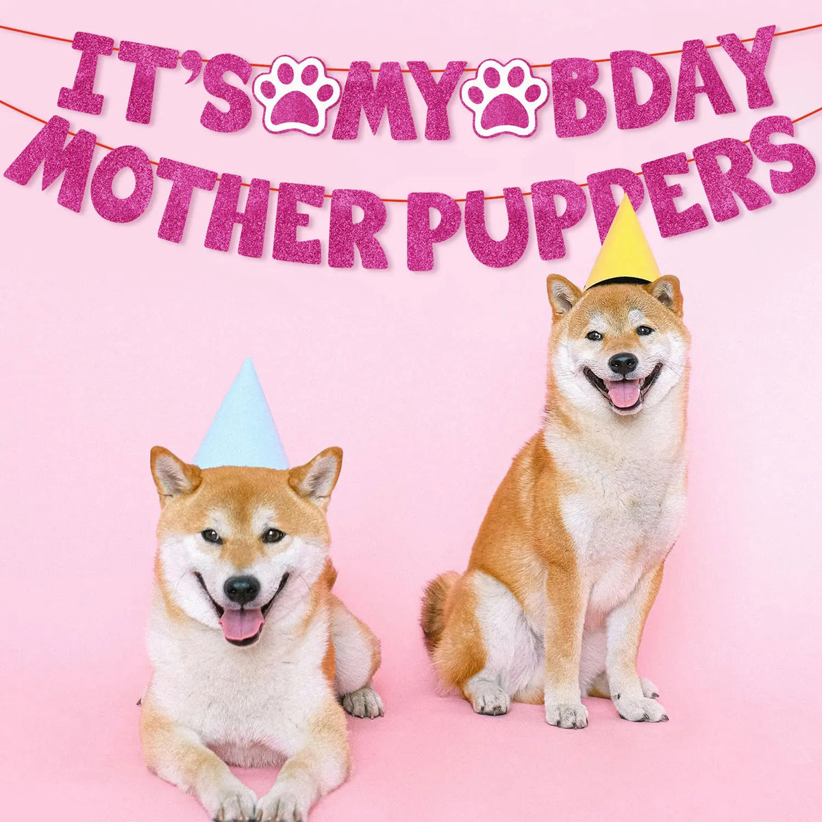 Un perro Shiba Inu con un sombrero de fiesta amarillo sentado junto a una pancarta de cumpleaños rosa.