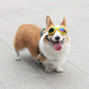A happy, light brown and white dog wearing yellow-framed sunglasses on a gray tiled floor.
