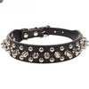Black leather spiked dog collar with silver studs and a buckle closure