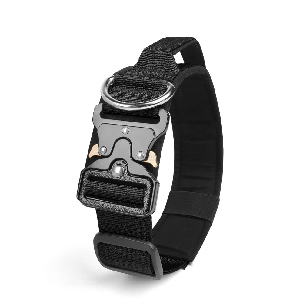 Black tactical dog collar with a silver buckle and black nylon strap.