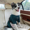 A dog wearing a dark green cozy pajama top with a high collar sitting in a car seat.