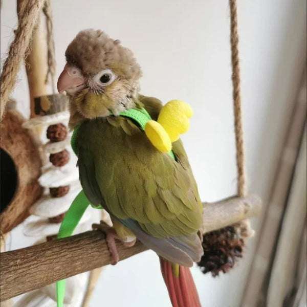 A small green parrot is perched on a wooden branch, hanging from a natural fiber bird training harness.