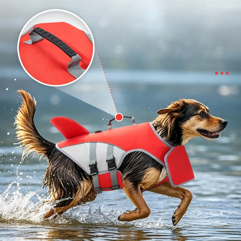 Un chien portant un gilet de sauvetage rouge et gris nage dans l'eau, avec un détail de la sangle.