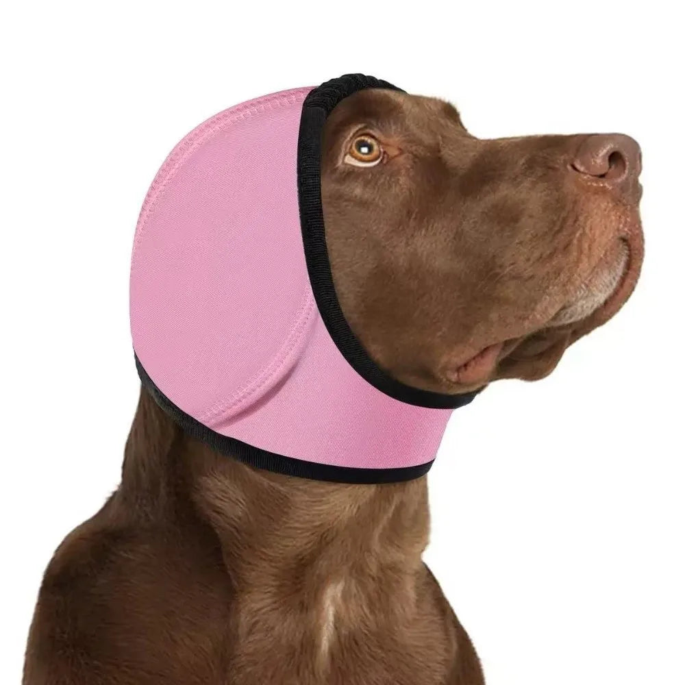 A brown dog wearing a pink and black calming noise reduction earmuff on its head.