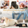 Holz-Nagelfilterbrett mit Snackbox neben einem Golden Retriever