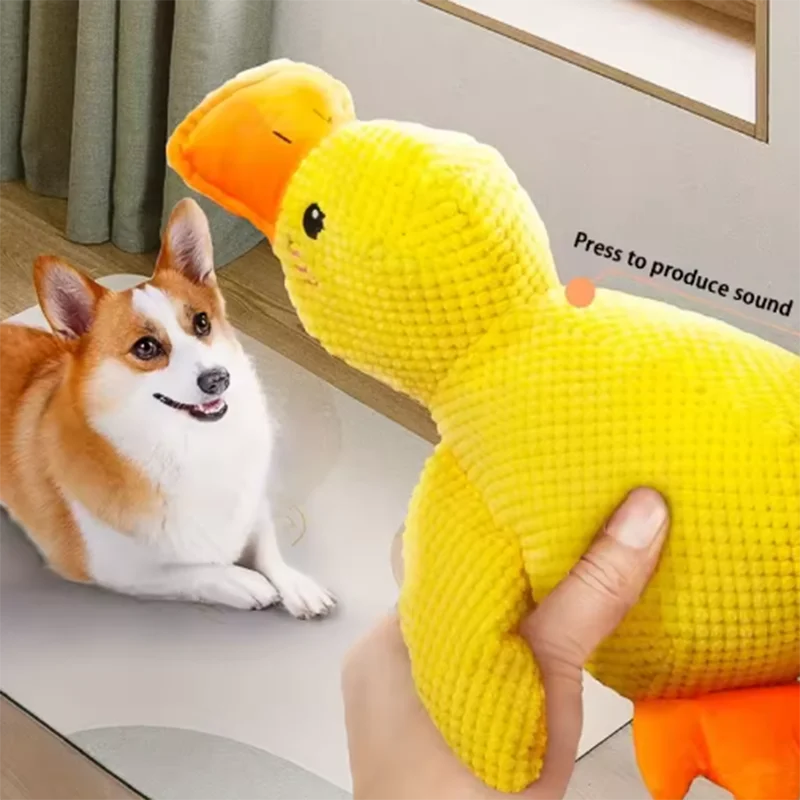 A yellow plush duck toy is being held by a hand next to a small dog.