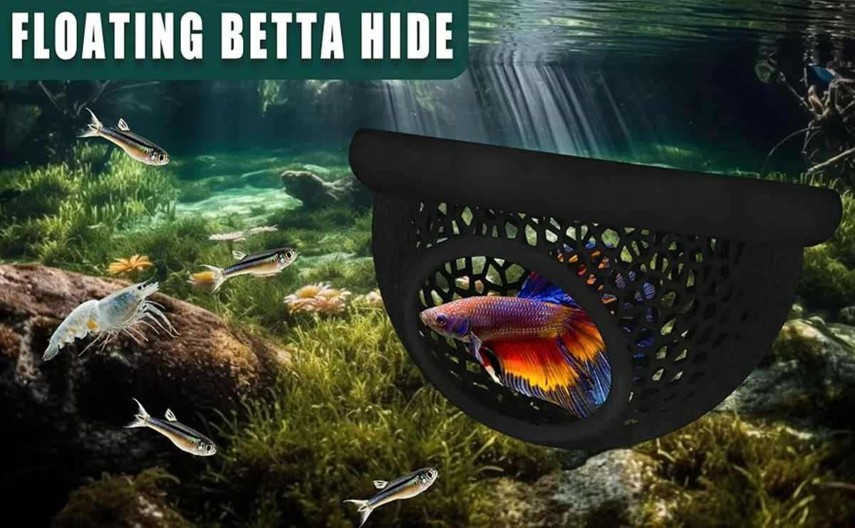 A floating betta hide featuring an intricate mesh design submerged in a natural aquatic environment.