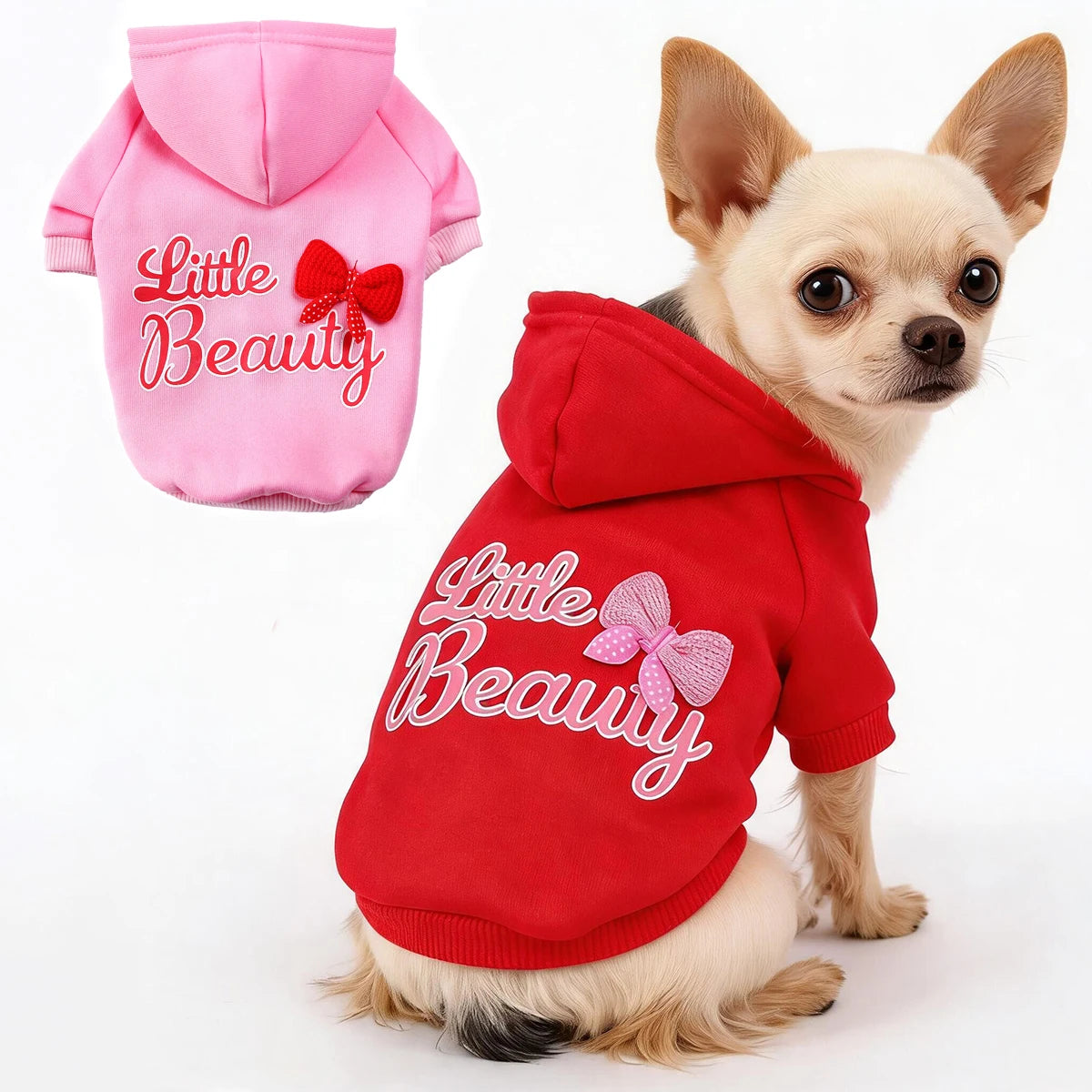 A small tan dog wearing a red hoodie with pink embroidery that reads Little Beauty