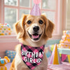 Un golden retriever joyeux portant un chapeau de fête rose et un bandana à carreaux pour son anniversaire.