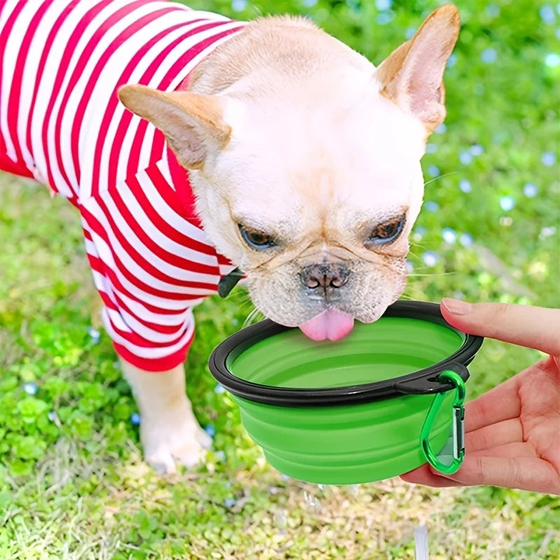 A light-colored French Bulldog is licking a green silicone pet travel bowl being held by a person outdoors.