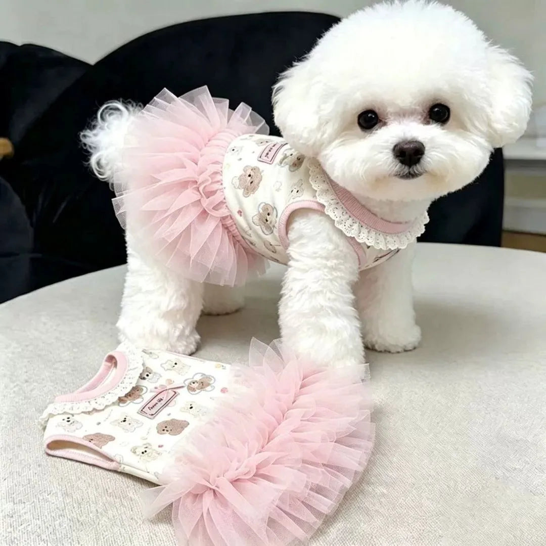 Ein flauschiger weißer Hund in einem rosa gerafften Sommerkleid sitzt auf einer hellen Oberfläche.