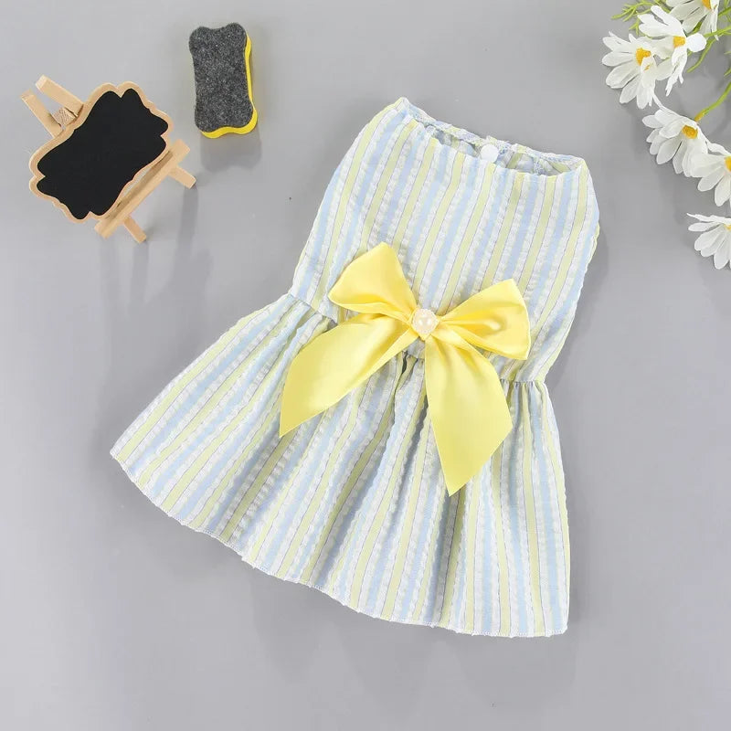 A yellow and blue striped summer bow dress for small pets, displayed next to a chalkboard.