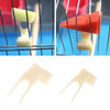 A close-up view of a bird feeding rack with fruit forks, showing various colored fruit pieces being fed to birds.
