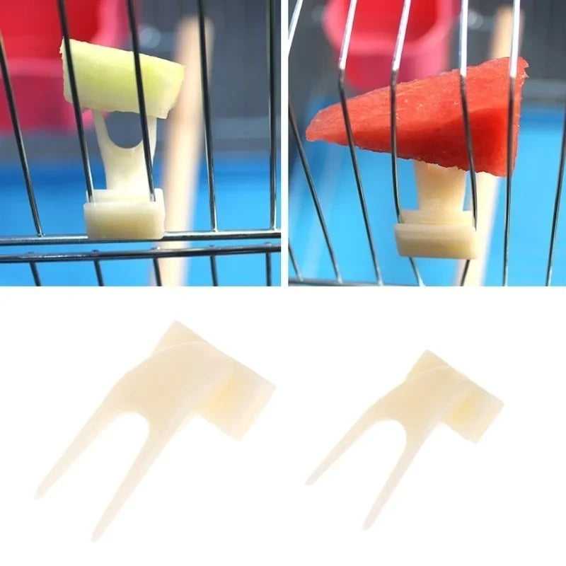 A close-up view of a bird feeding rack with fruit forks, showing various colored fruit pieces being fed to birds.