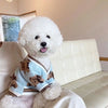 Ein weißer Pudel in einem blau-braunen Strickpullover sitzt auf einem weißen Sofa.