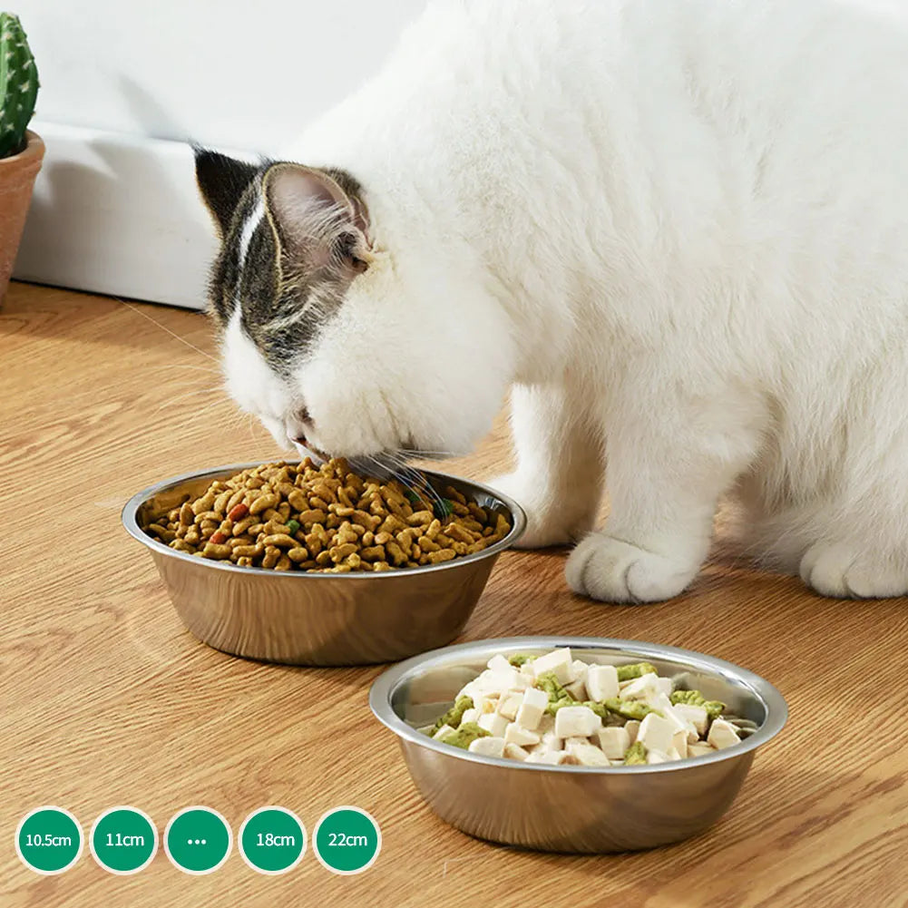 A white cat is eating from a stainless steel pet feeding bowl placed on a wooden surface.