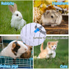 A collection of small caged animals including rabbits, hamsters, guinea pigs, and cats, demonstrating a suitable drinking kit