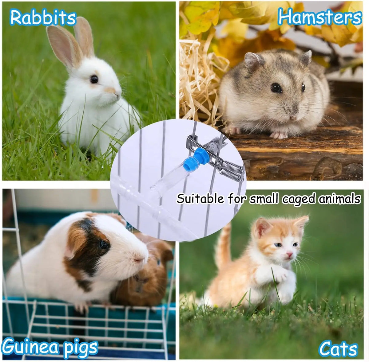 A collection of small caged animals including rabbits, hamsters, guinea pigs, and cats, demonstrating a suitable drinking kit