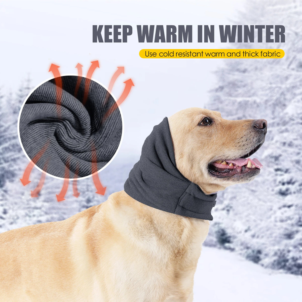Goldener Hund mit dunkler Hoodie und Ohrenschal in verschneelter Umgebung