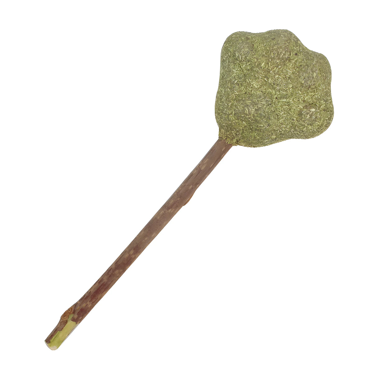 A natural silvervine cat chew stick with a green, textured tip and a brown stick.