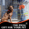 A dog wearing noise-reducing ear muffs is shown next to a person, with a sound level meter displaying 29 dB HRR.