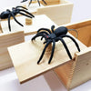 A black wooden spider figure is displayed inside a light wood box.