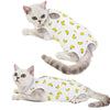 A fluffy gray cat wearing a white recovery vest with yellow accents.