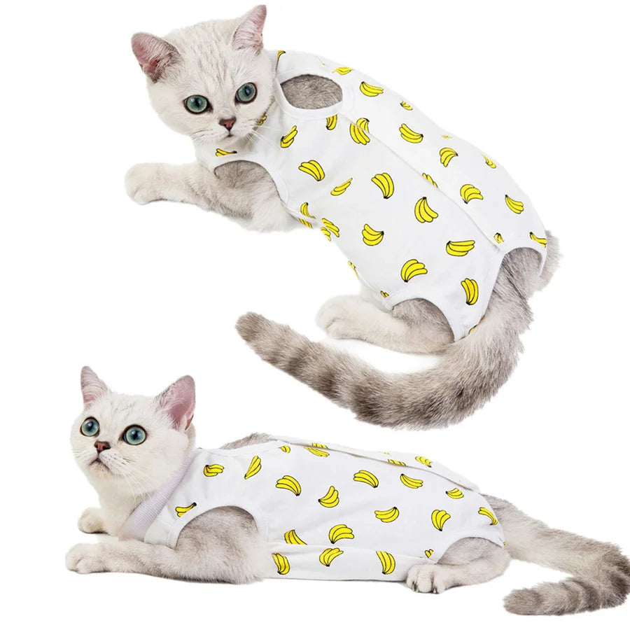 A fluffy gray cat wearing a white recovery vest with yellow accents.