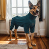 A brown dog wearing a teal cozy four-legged pajama with a high collar standing indoors.