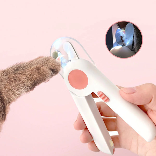 A hand holds a white pet nail clipper with an LED light, demonstrating its use on a cat's paw.
