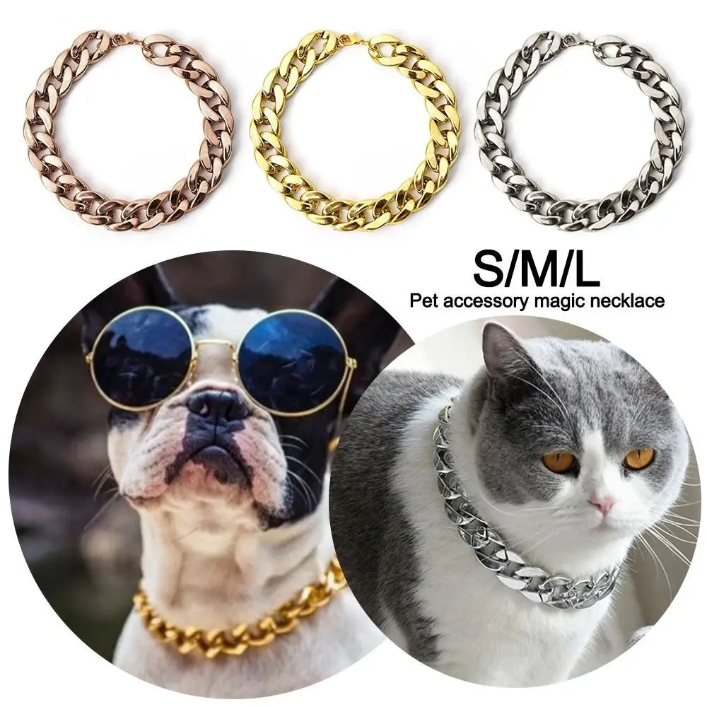 Drei Gold- und Silberketten für Haustiere neben einem Hund mit goldenem Halsband und einer Katze mit silbernem Halsband