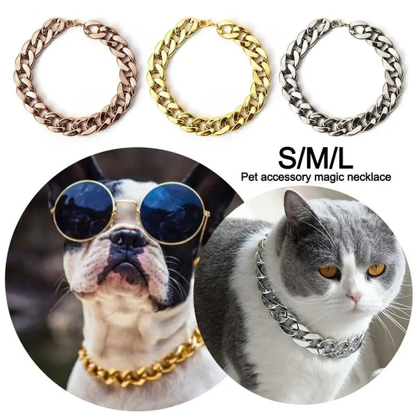 Drei Gold- und Silberketten für Haustiere neben einem Hund mit goldenem Halsband und einer Katze mit silbernem Halsband