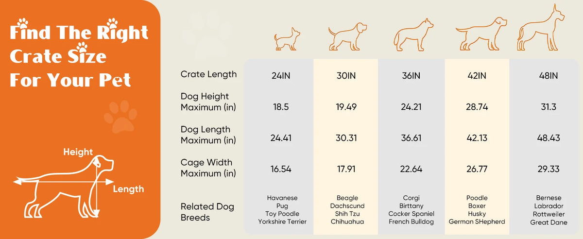 Diagram showing crate size guidelines for various dog breeds, including height and length measurements.