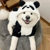 A white dog wearing a black and white panda-themed fleece hood and coat.
