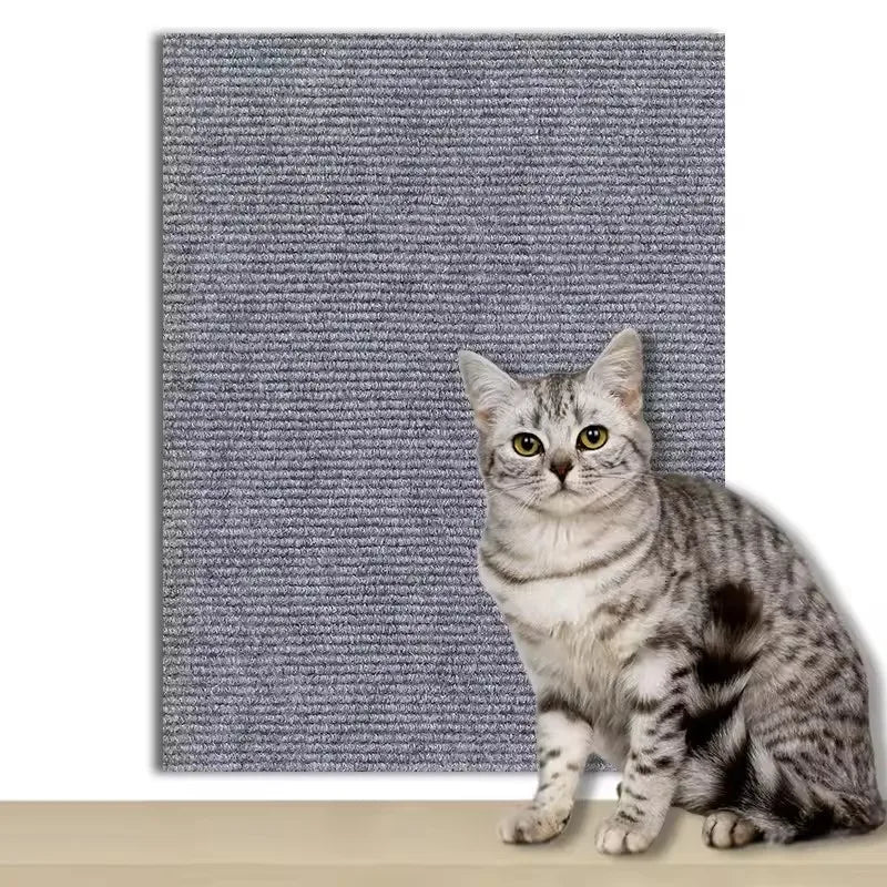 Eine graue tabbykatze sitzt auf einer strukturierten grauen Matte.