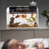 A clear aquarium filter setup featuring a tank with fish, rocks, and plants.